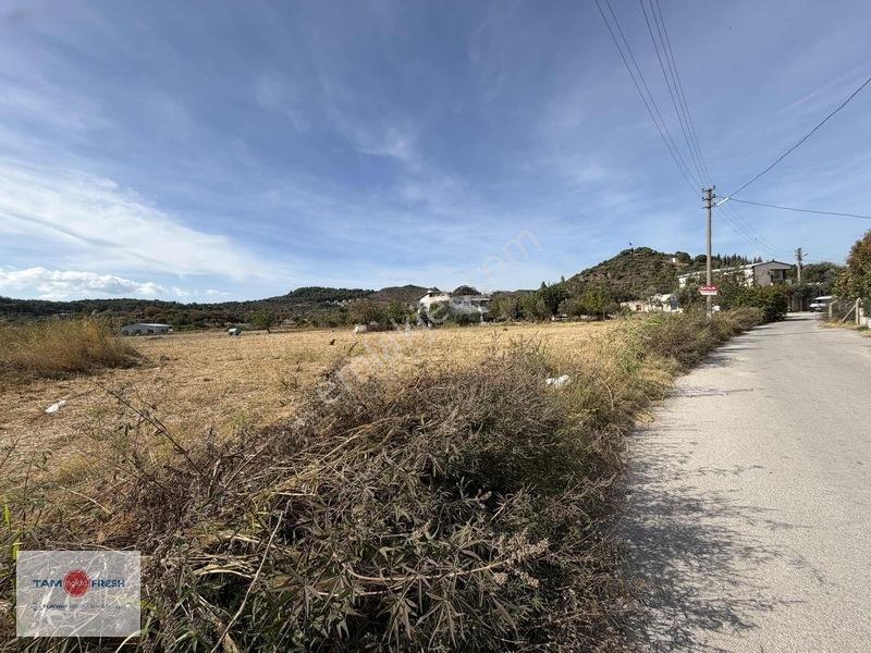 Urla İskele'de 16.936 M²'lik Ayrıcalıklı Bir Arazi... — fotoğraf 4