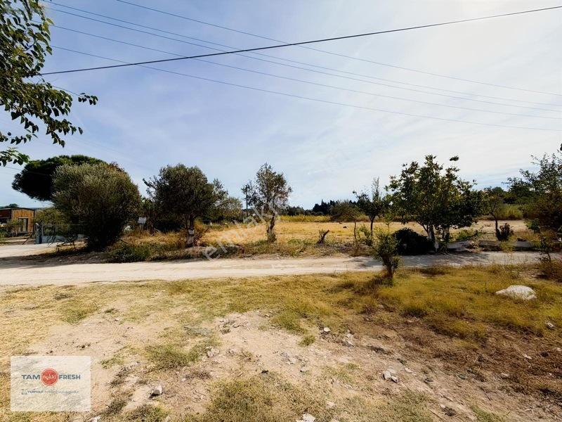Urla İskele'de 16.936 M²'lik Ayrıcalıklı Bir Arazi... — fotoğraf 5