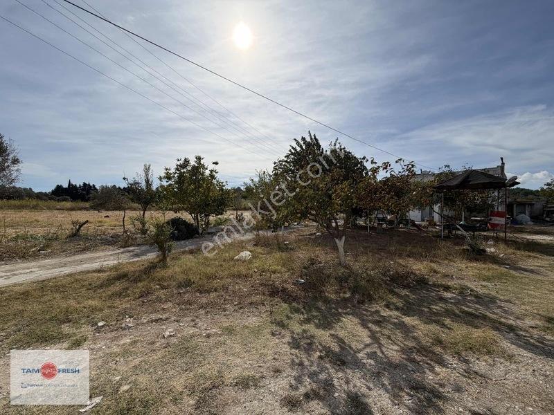Urla İskele'de 16.936 M²'lik Ayrıcalıklı Bir Arazi... — fotoğraf 6