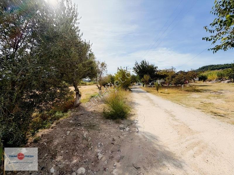 Urla İskele'de 16.936 M²'lik Ayrıcalıklı Bir Arazi... — fotoğraf 7