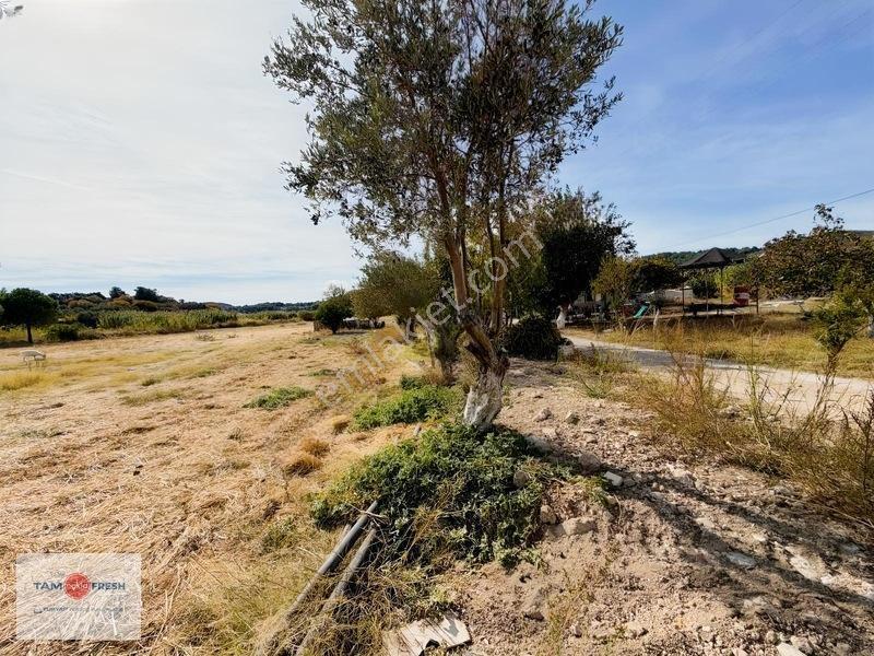 Urla İskele'de 16.936 M²'lik Ayrıcalıklı Bir Arazi... — fotoğraf 10