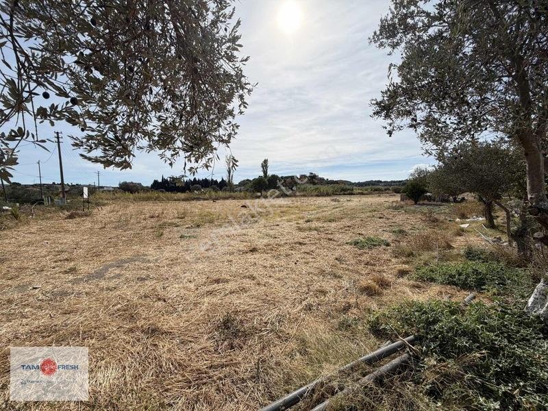 Urla İskele'de 16.936 M²'lik Ayrıcalıklı Bir Arazi... — fotoğraf 11