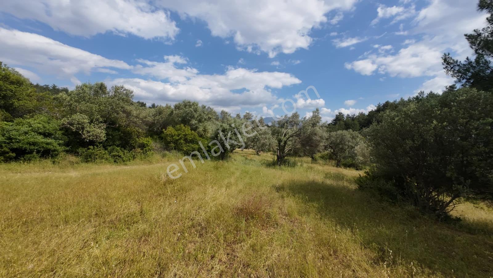 Bornova Erzene "papas Kuyusu" Mevkii 9.780m² Satılık — fotoğraf 8