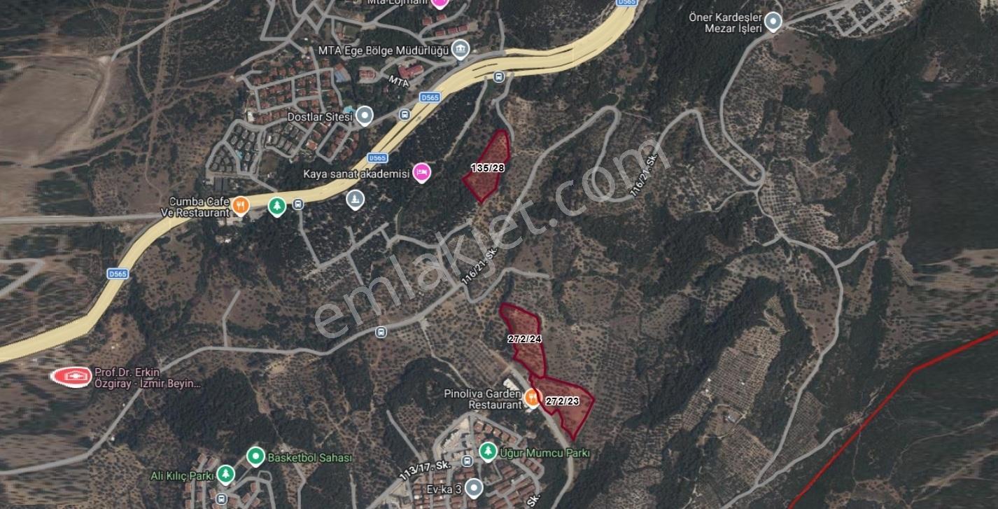 Bornova Erzene "papas Kuyusu" Mevkii 9.780m² Satılık — fotoğraf 9