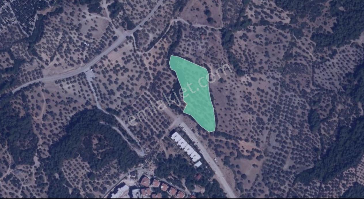 Bornova Erzene "papas Kuyusu" Mevkii 9.780m² Satılık — fotoğraf 14