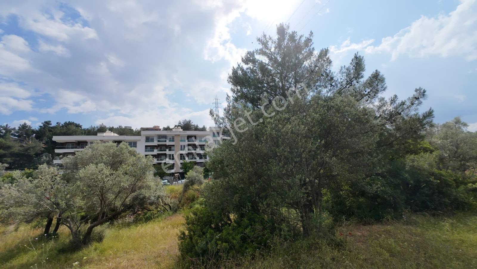 Bornova Erzene "papas Kuyusu" Mevkii 9.780m² Satılık — fotoğraf 16