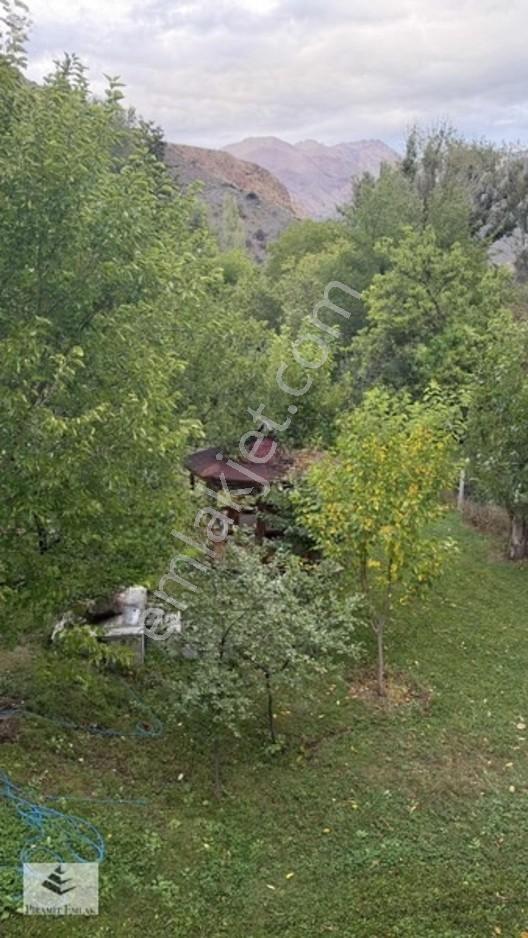 Piramit Gm'den Tortum Şenyurt (derekapı) Bahçe Ve Müstakil Ev — fotoğraf 19