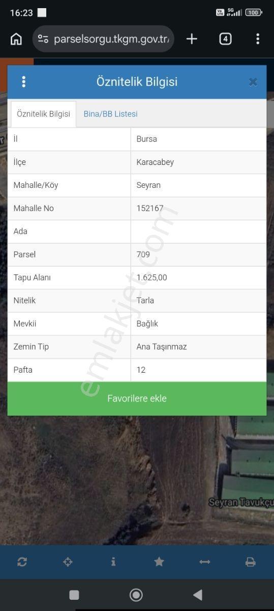 Bursa Karacabey Seyran Satılık 1625 M2 Zeytinlik — fotoğraf 3