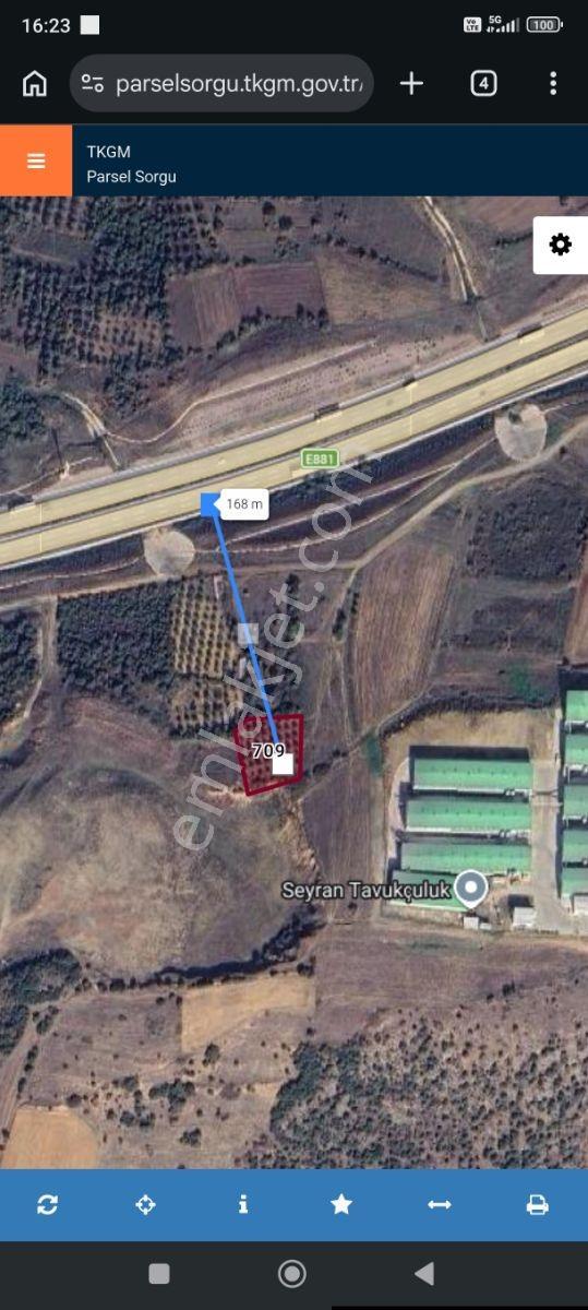 Bursa Karacabey Seyran Satılık 1625 M2 Zeytinlik — fotoğraf 5