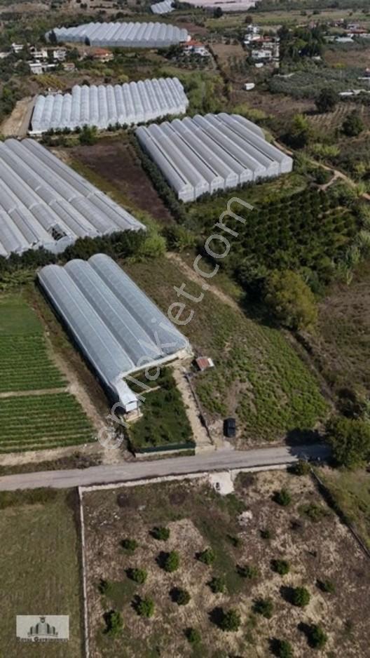 Manavgat Çengerde Satılık Tarla — fotoğraf 2