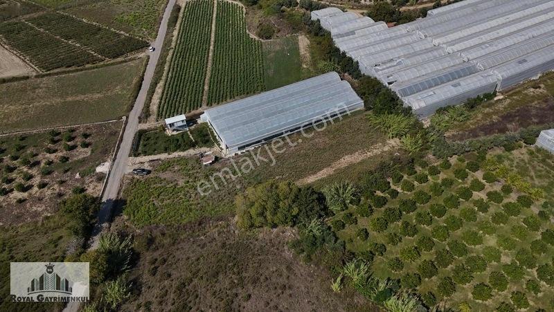 Manavgat Çengerde Satılık Tarla — fotoğraf 7