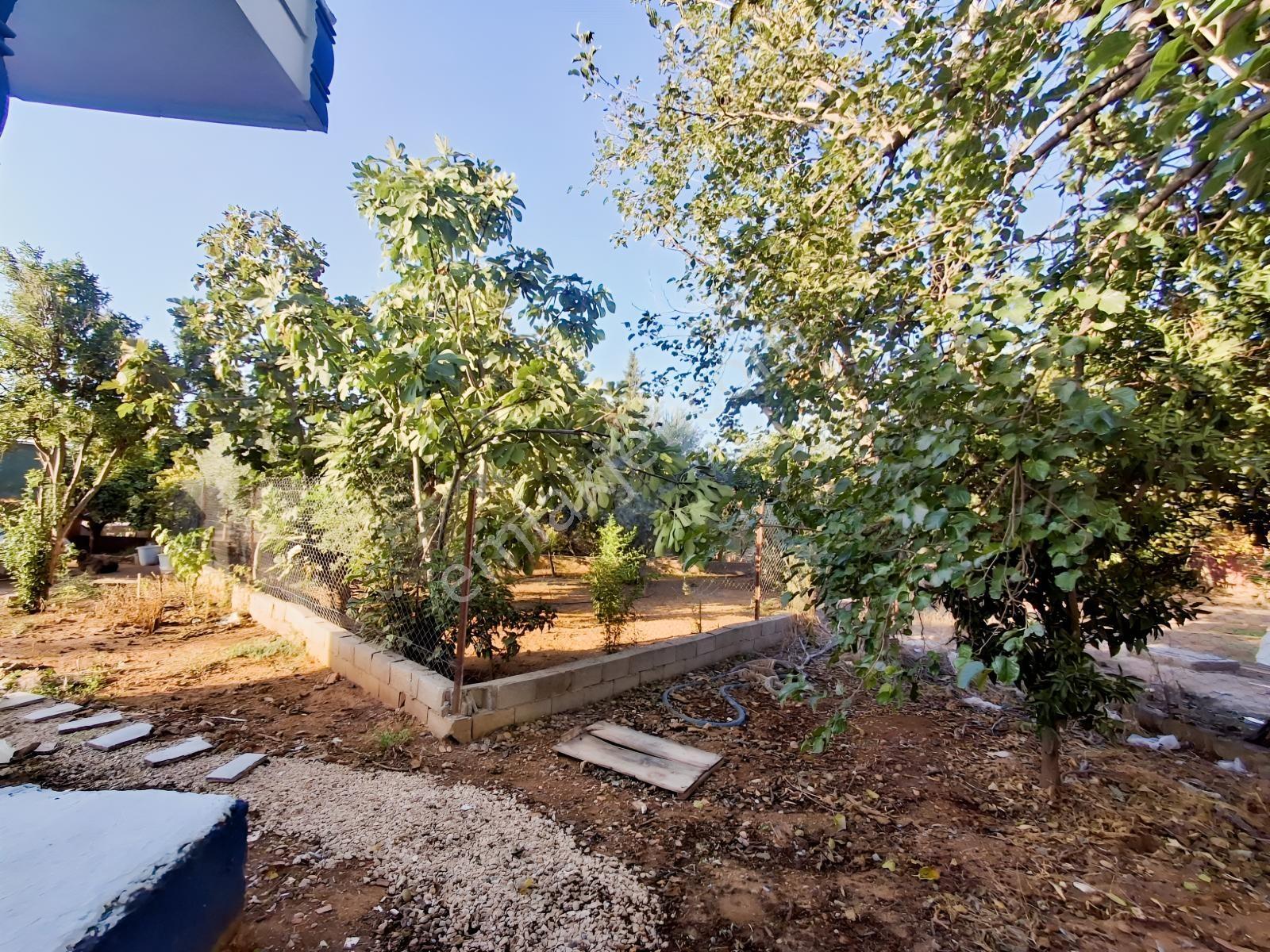 Ermenekte Satılık 358 M² İmarlı Arsa Ve 3+1 Müstakil Ev — fotoğraf 13