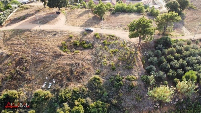 Kızılağaçta Parka Cephe | Denize 1 Km 1.387 M² Arsa — fotoğraf 2