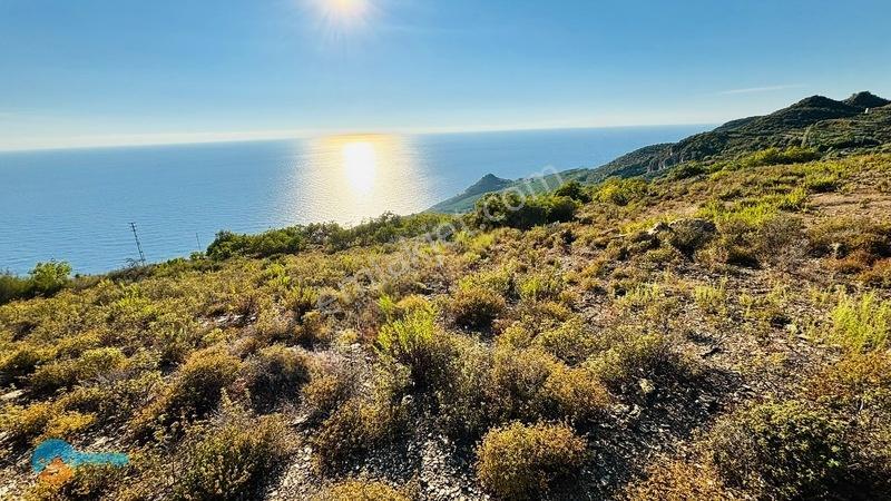 Site Yapmaya Uygun -deniz Manzaralı Arsa.... — fotoğraf 4