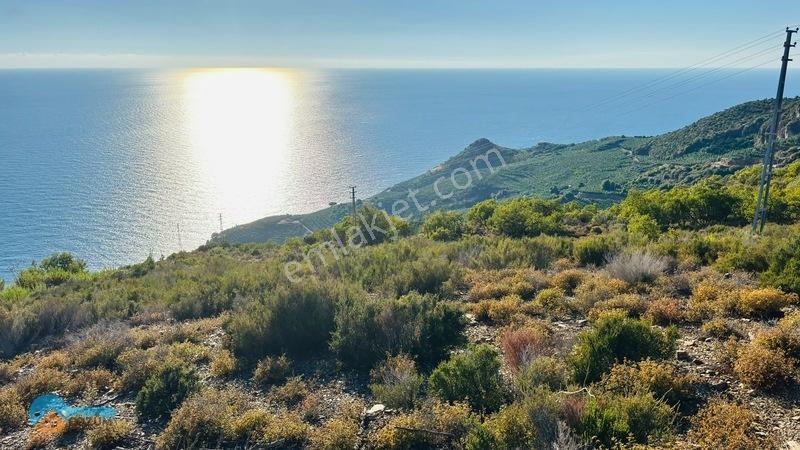 Site Yapmaya Uygun -deniz Manzaralı Arsa.... — fotoğraf 13