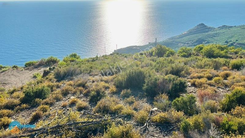 Site Yapmaya Uygun -deniz Manzaralı Arsa.... — fotoğraf 20