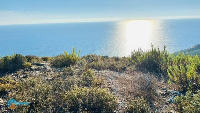Site Yapmaya Uygun -deniz Manzaralı Arsa.... — fotoğraf 21