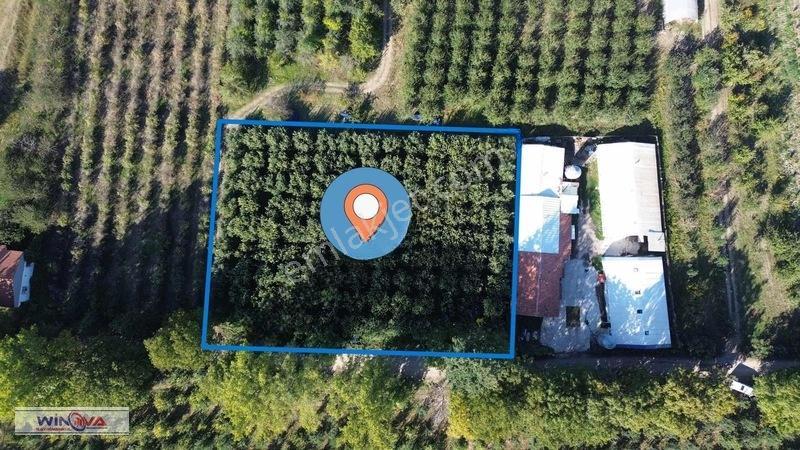 Winova| İnegöl'Ün Dibinde! Çeltikçi'De Potansiyelli Tarla !
