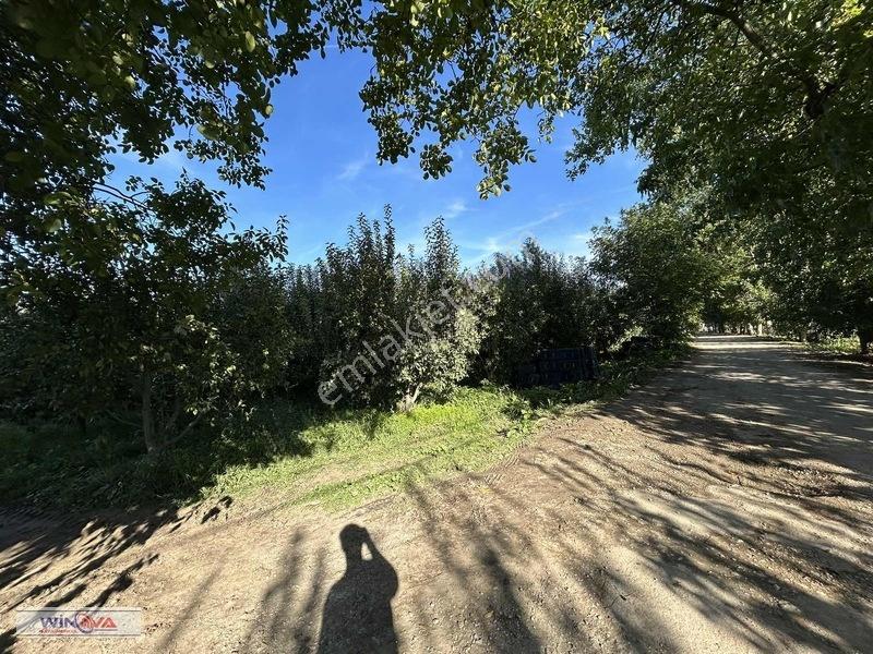 Winova| İnegöl'ün Dibinde! Çeltikçi'de Potansiyelli Tarla ! — fotoğraf 9