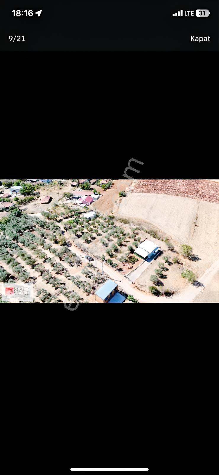 Seyran Köşe Parsel Satılık Arsa — fotoğraf 7