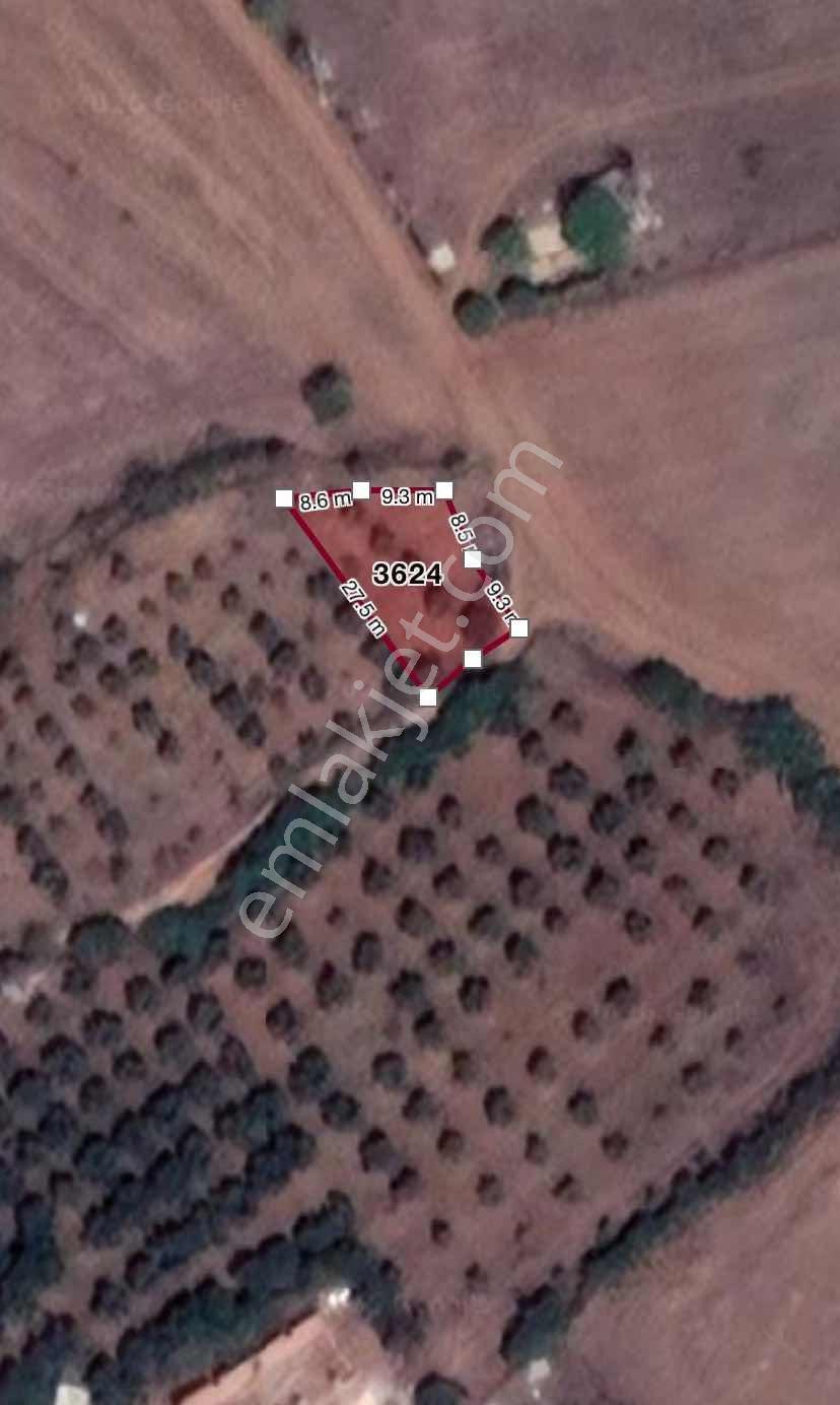 Seyran Köşe Parsel Satılık Arsa — fotoğraf 9