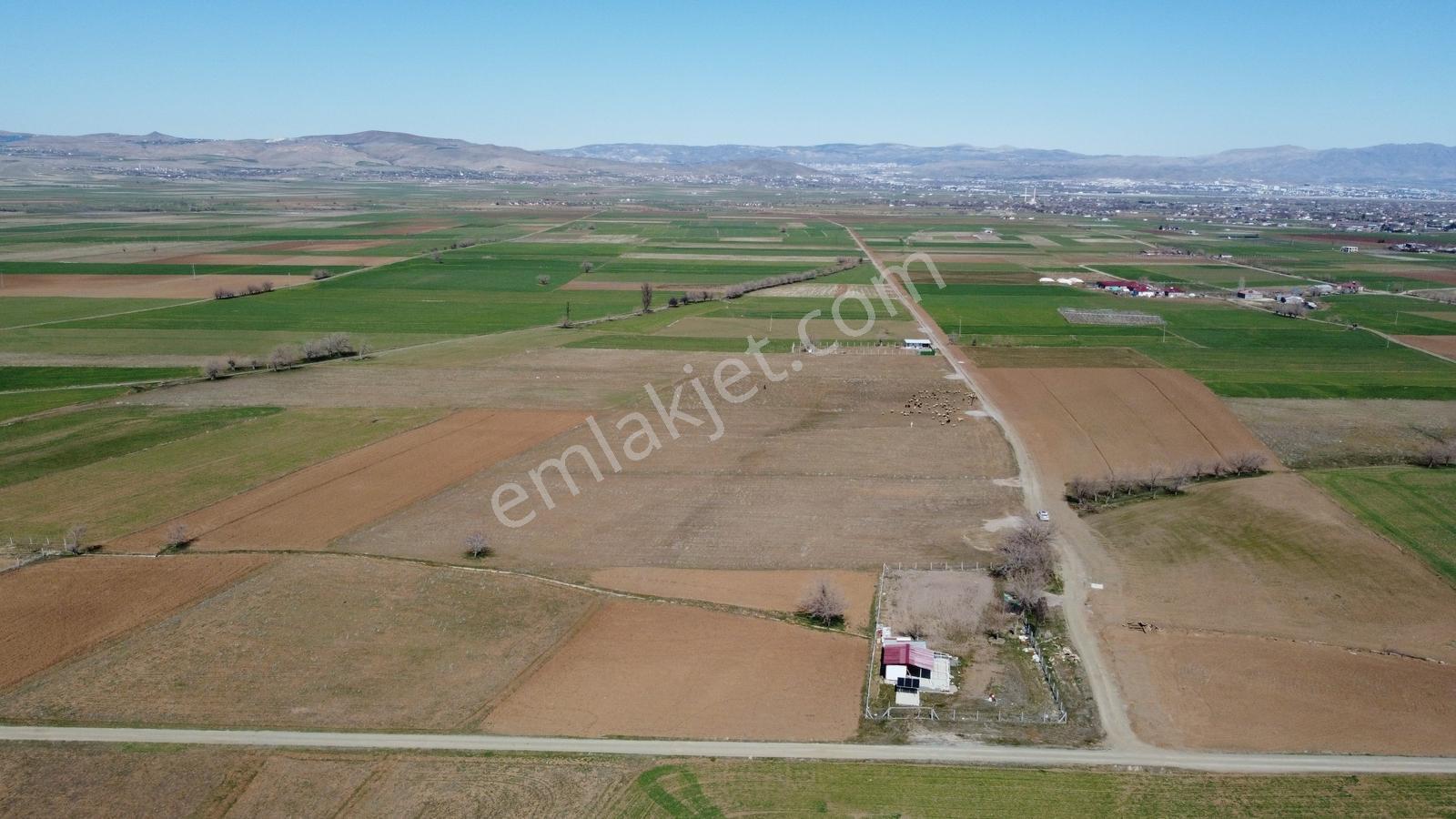 Emre Gm/den Gözebaşı (kinederiç) Te Yolu Elektriği Mevcut Tarla — fotoğraf 2
