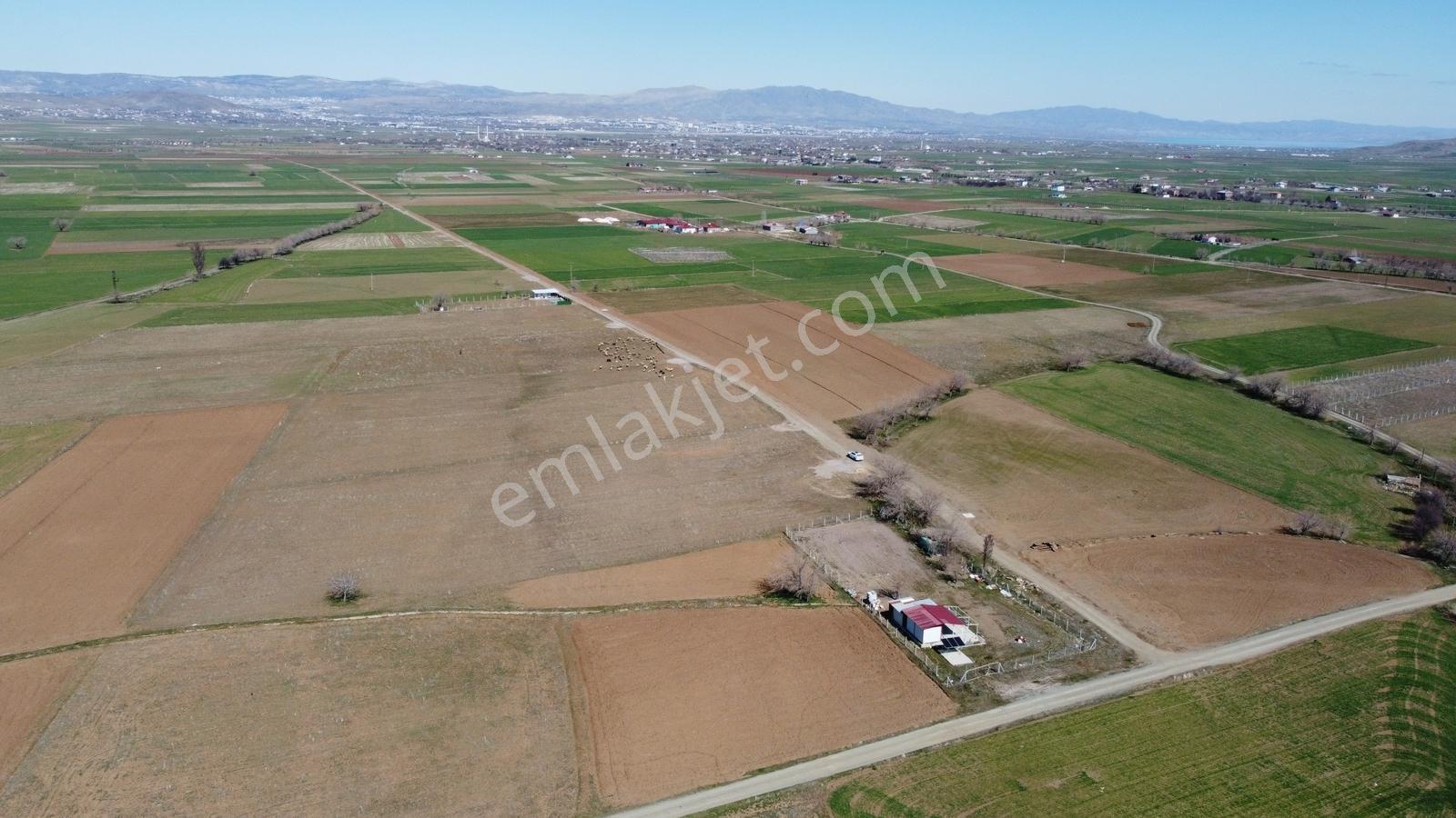 Emre Gm/den Gözebaşı (kinederiç) Te Yolu Elektriği Mevcut Tarla — fotoğraf 3
