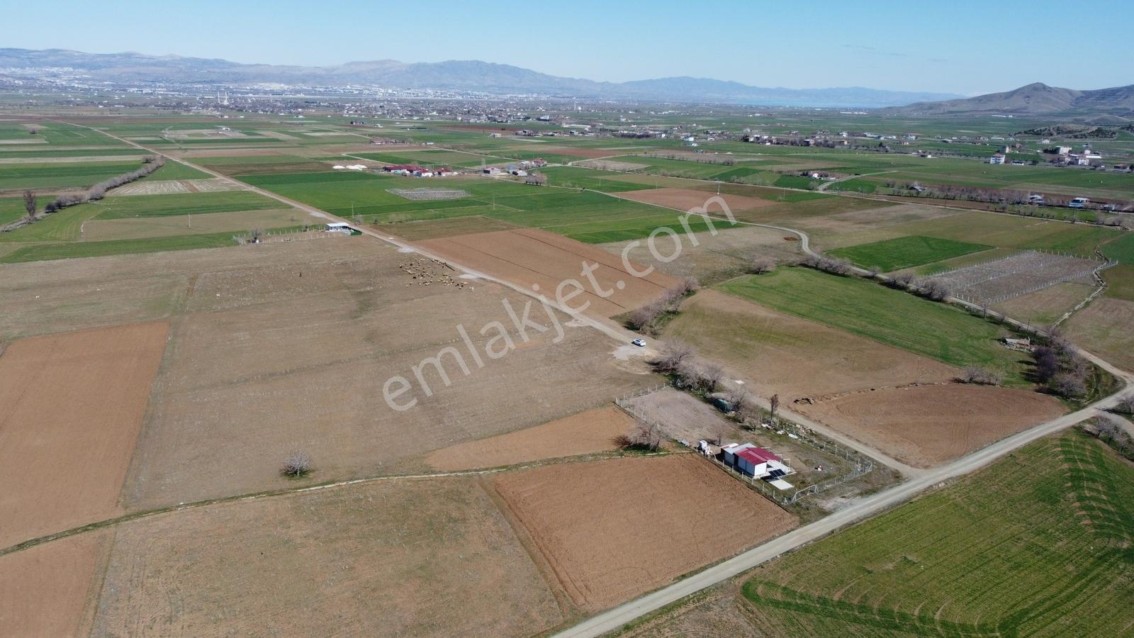 Emre Gm/den Gözebaşı (kinederiç) Te Yolu Elektriği Mevcut Tarla — fotoğraf 4