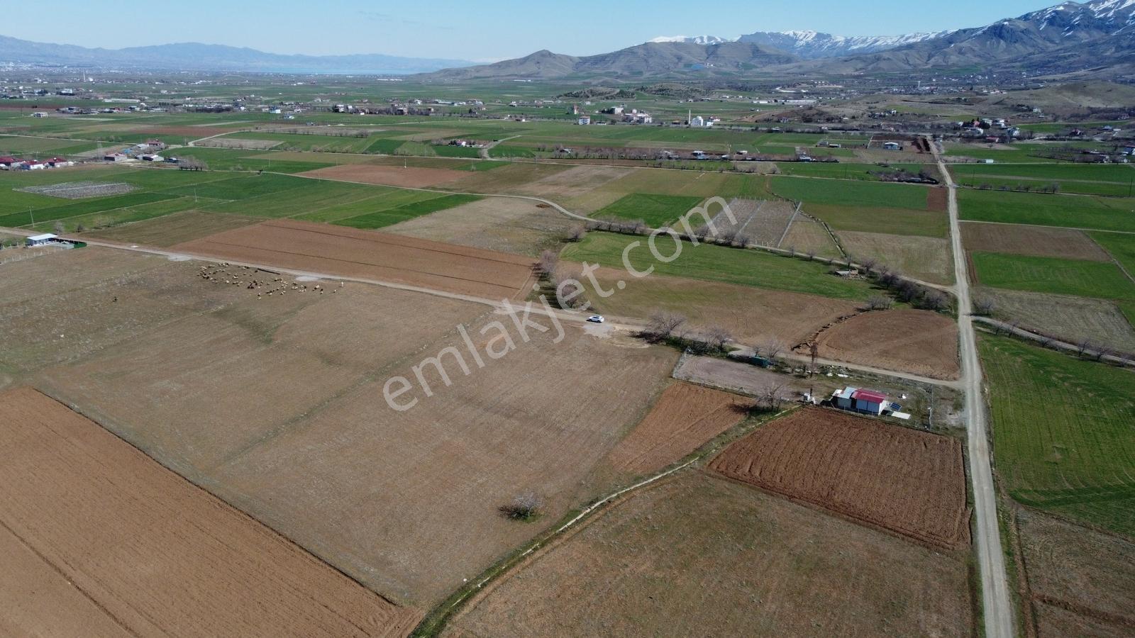 Emre Gm/den Gözebaşı (kinederiç) Te Yolu Elektriği Mevcut Tarla — fotoğraf 5