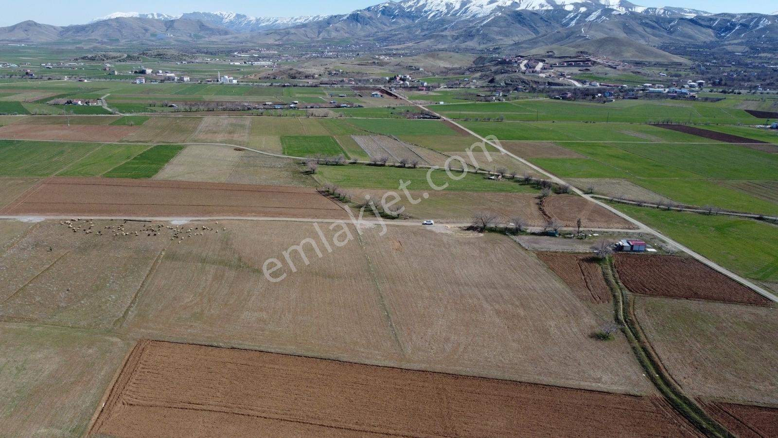 Emre Gm/den Gözebaşı (kinederiç) Te Yolu Elektriği Mevcut Tarla — fotoğraf 6
