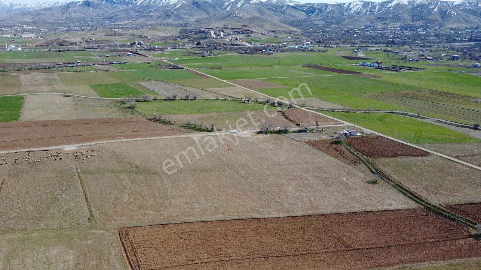 Emre Gm/den Gözebaşı (kinederiç) Te Yolu Elektriği Mevcut Tarla — fotoğraf 7