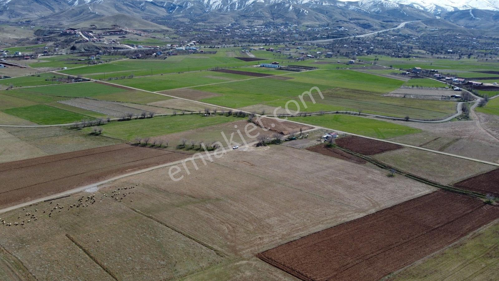 Emre Gm/den Gözebaşı (kinederiç) Te Yolu Elektriği Mevcut Tarla — fotoğraf 8