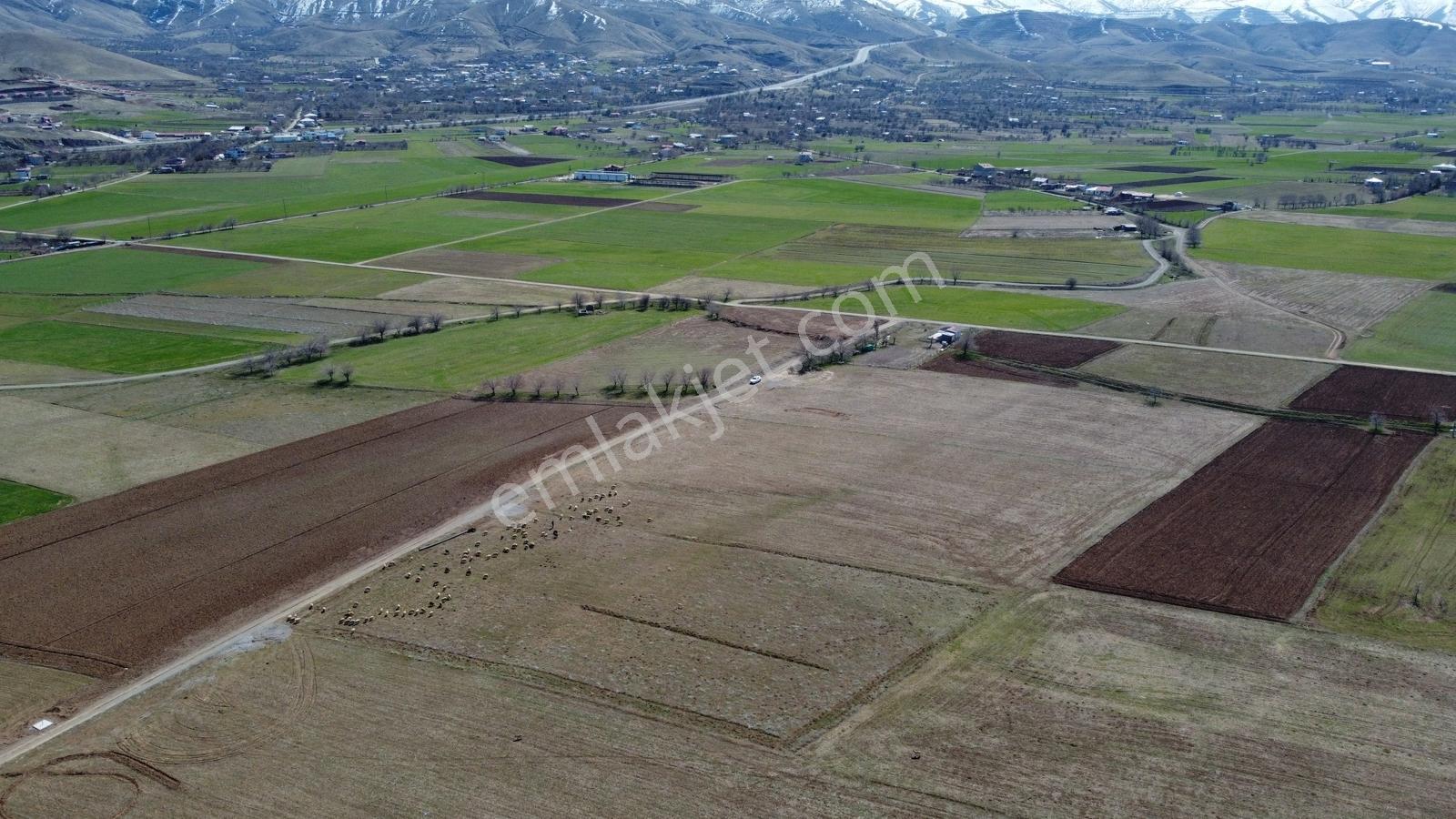 Emre Gm/den Gözebaşı (kinederiç) Te Yolu Elektriği Mevcut Tarla — fotoğraf 10