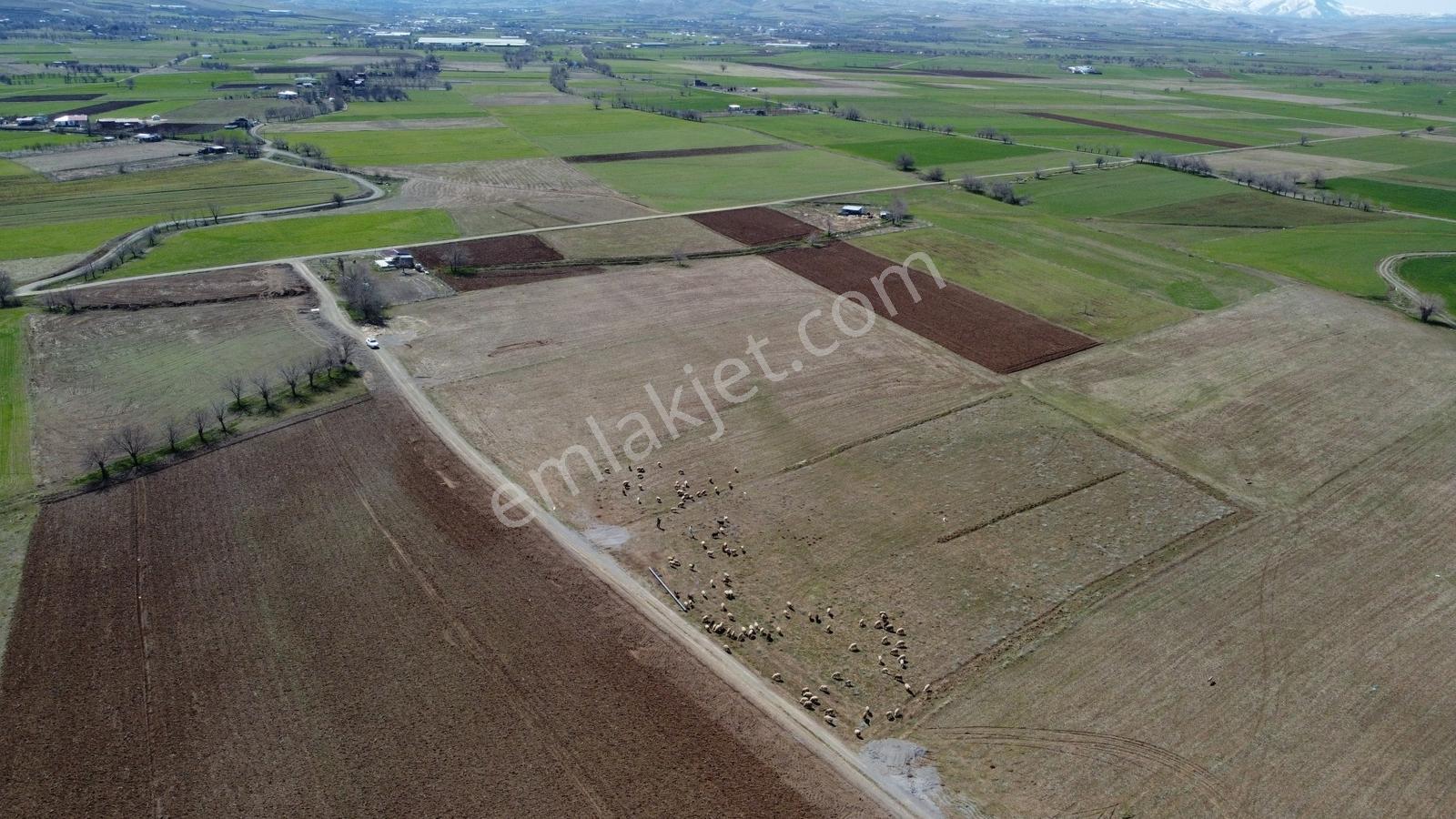 Emre Gm/den Gözebaşı (kinederiç) Te Yolu Elektriği Mevcut Tarla — fotoğraf 11