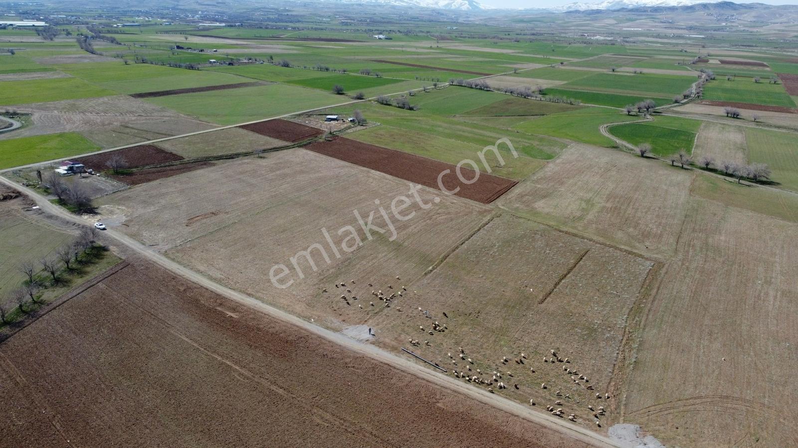 Emre Gm/den Gözebaşı (kinederiç) Te Yolu Elektriği Mevcut Tarla — fotoğraf 12
