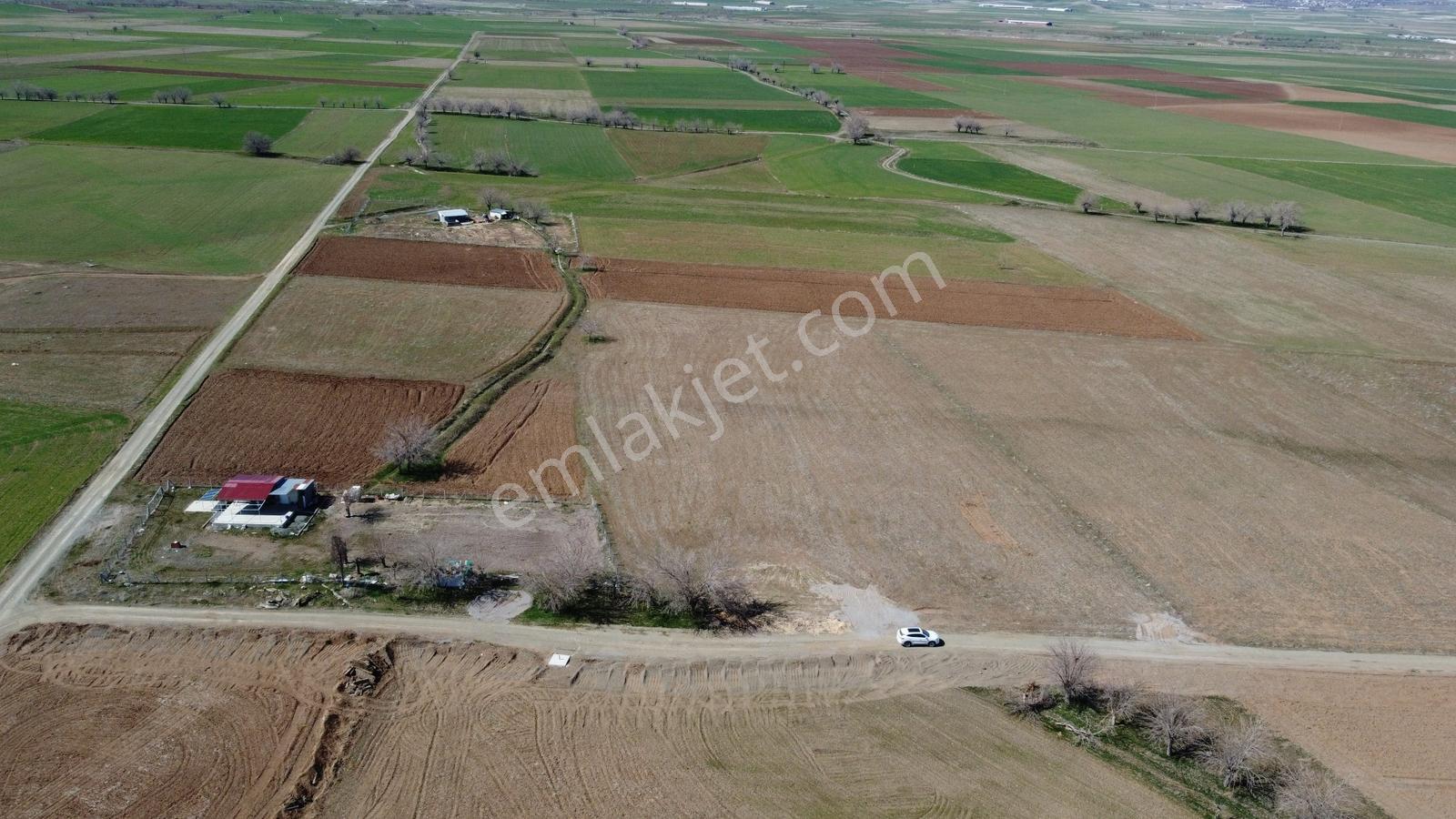 Emre Gm/den Gözebaşı (kinederiç) Te Yolu Elektriği Mevcut Tarla — fotoğraf 13