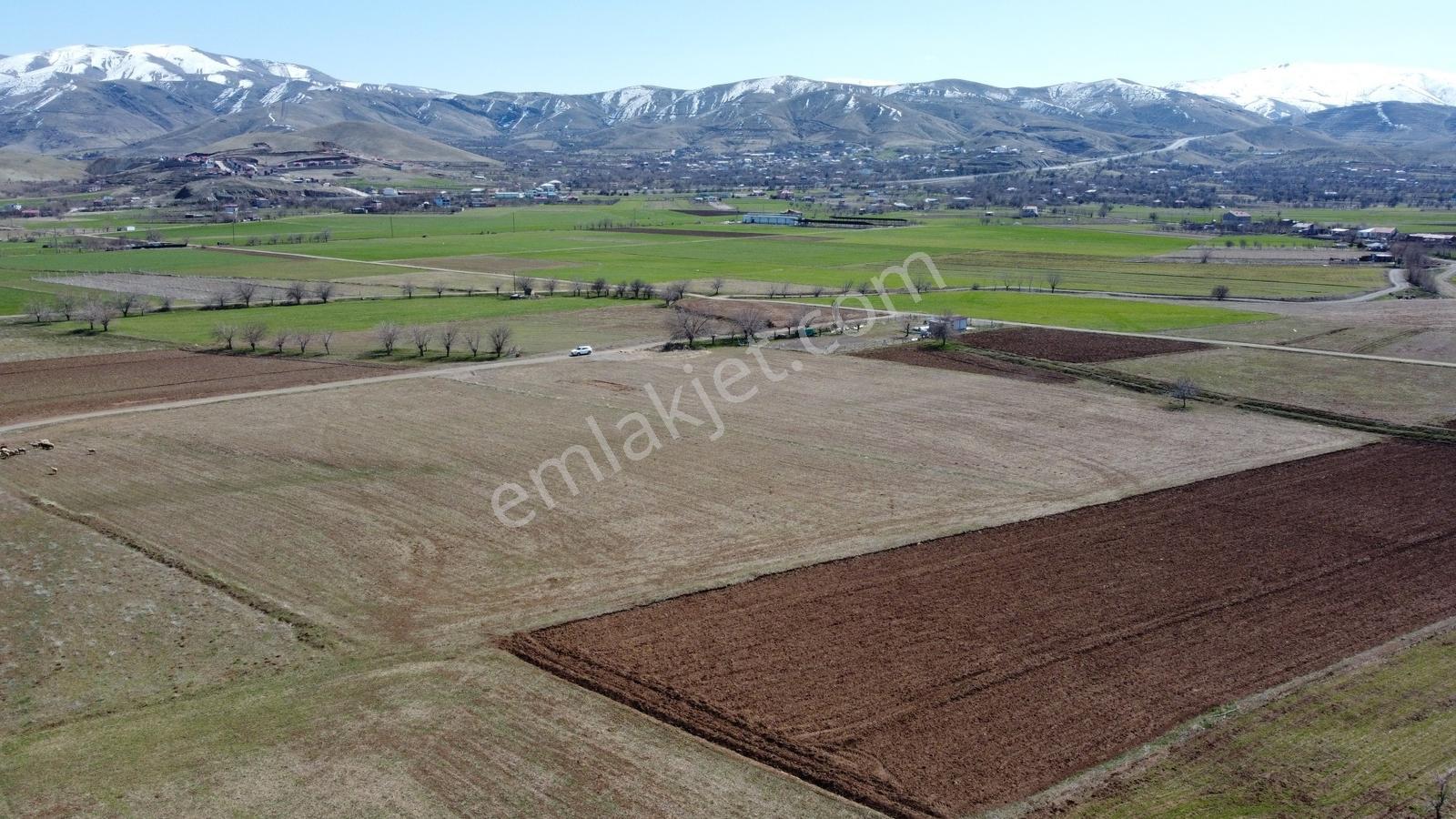 Emre Gm/den Gözebaşı (kinederiç) Te Yolu Elektriği Mevcut Tarla — fotoğraf 14