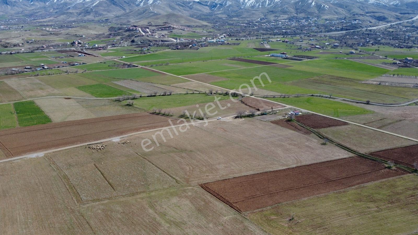 Emre Gm/den Gözebaşı (kinederiç) Te Yolu Elektriği Mevcut Tarla — fotoğraf 15