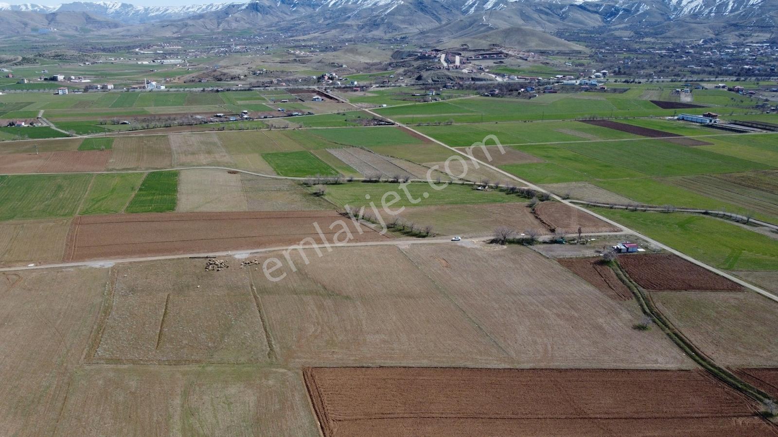 Emre Gm/den Gözebaşı (kinederiç) Te Yolu Elektriği Mevcut Tarla — fotoğraf 16