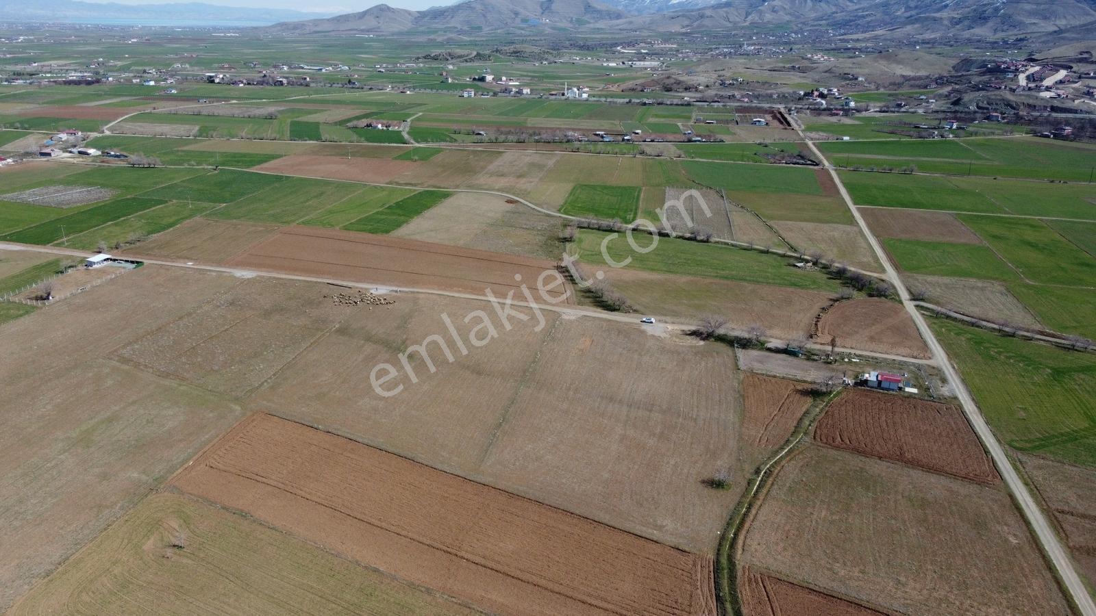 Emre Gm/den Gözebaşı (kinederiç) Te Yolu Elektriği Mevcut Tarla — fotoğraf 17