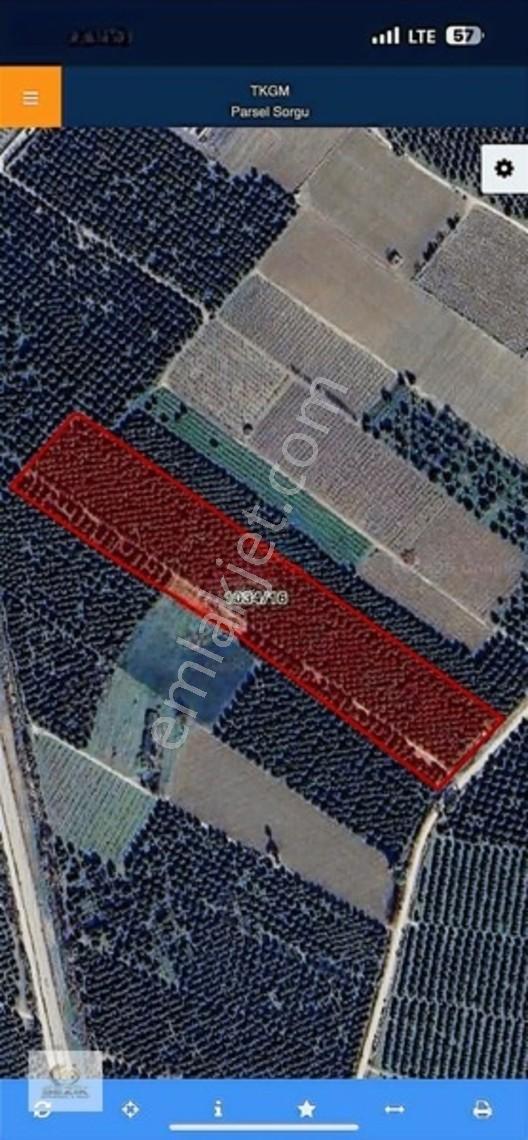 Mıdık Merkeze Yakın M2'si 1.630₺ Uygun Fiyata Yolu Var — fotoğraf 4