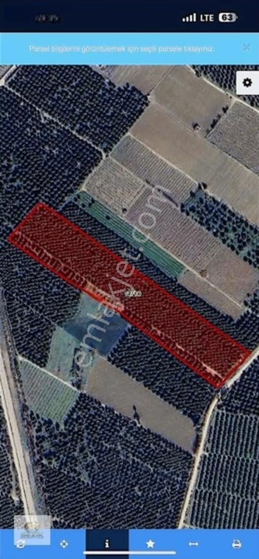 Mıdık Merkeze Yakın M2'si 1.630₺ Uygun Fiyata Yolu Var — fotoğraf 6