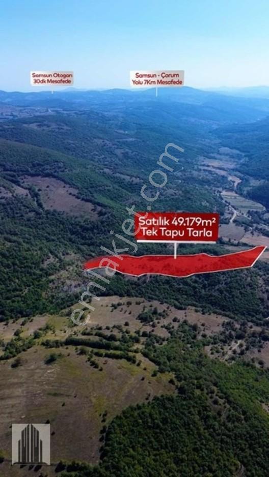 Kuvvet Den Kavak Göçebede Takasa Açık 49.179m2 Satılık Tarla — fotoğraf 2