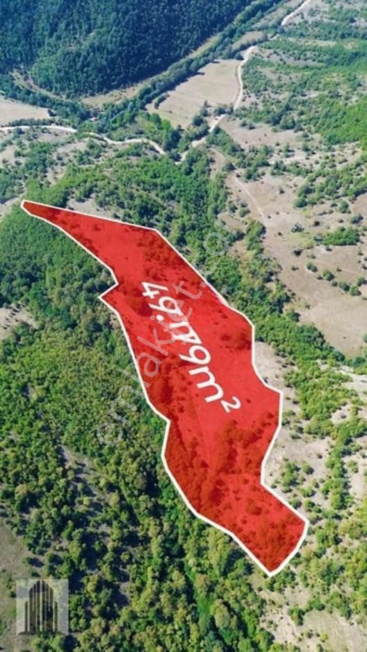 Kuvvet Den Kavak Göçebede Takasa Açık 49.179m2 Satılık Tarla — fotoğraf 3