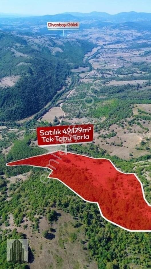 Kuvvet Den Kavak Göçebede Takasa Açık 49.179m2 Satılık Tarla — fotoğraf 4