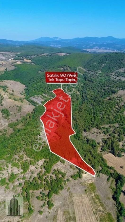 Kuvvet Den Kavak Göçebede Takasa Açık 49.179m2 Satılık Tarla — fotoğraf 5