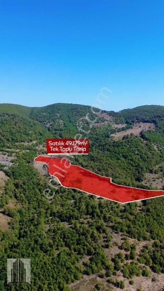 Kuvvet Den Kavak Göçebede Takasa Açık 49.179m2 Satılık Tarla — fotoğraf 6