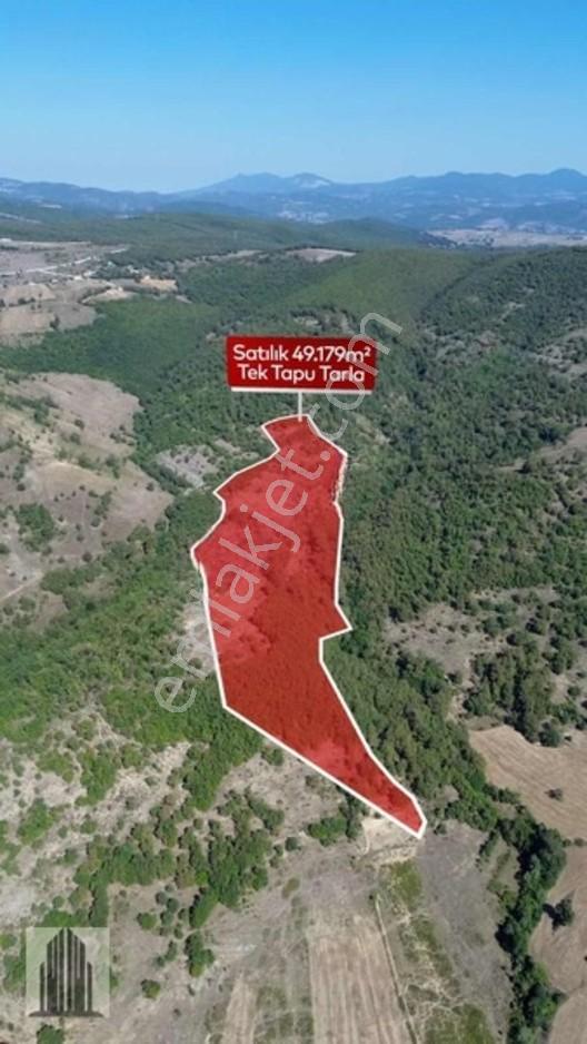 Kuvvet Den Kavak Göçebede Takasa Açık 49.179m2 Satılık Tarla — fotoğraf 8