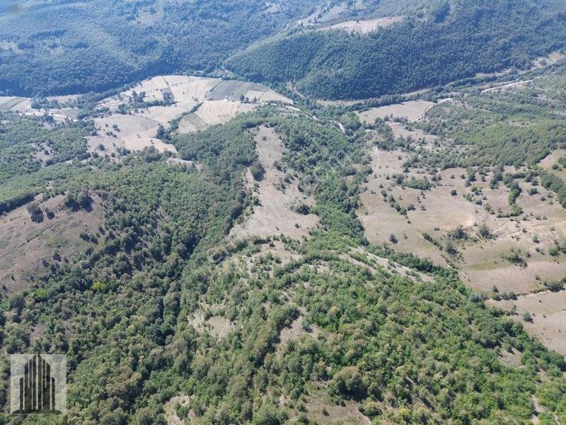 Kuvvet Den Kavak Göçebede Takasa Açık 49.179m2 Satılık Tarla — fotoğraf 9