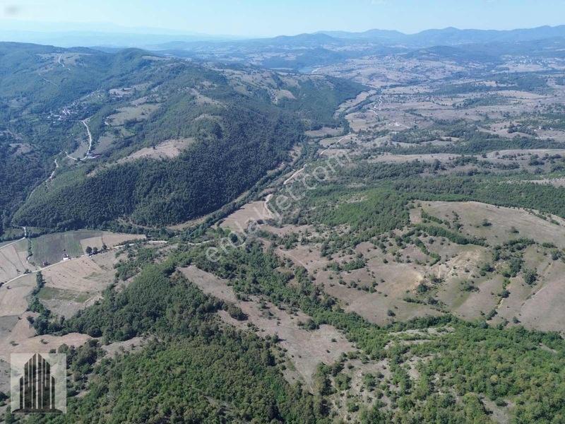 Kuvvet Den Kavak Göçebede Takasa Açık 49.179m2 Satılık Tarla — fotoğraf 10